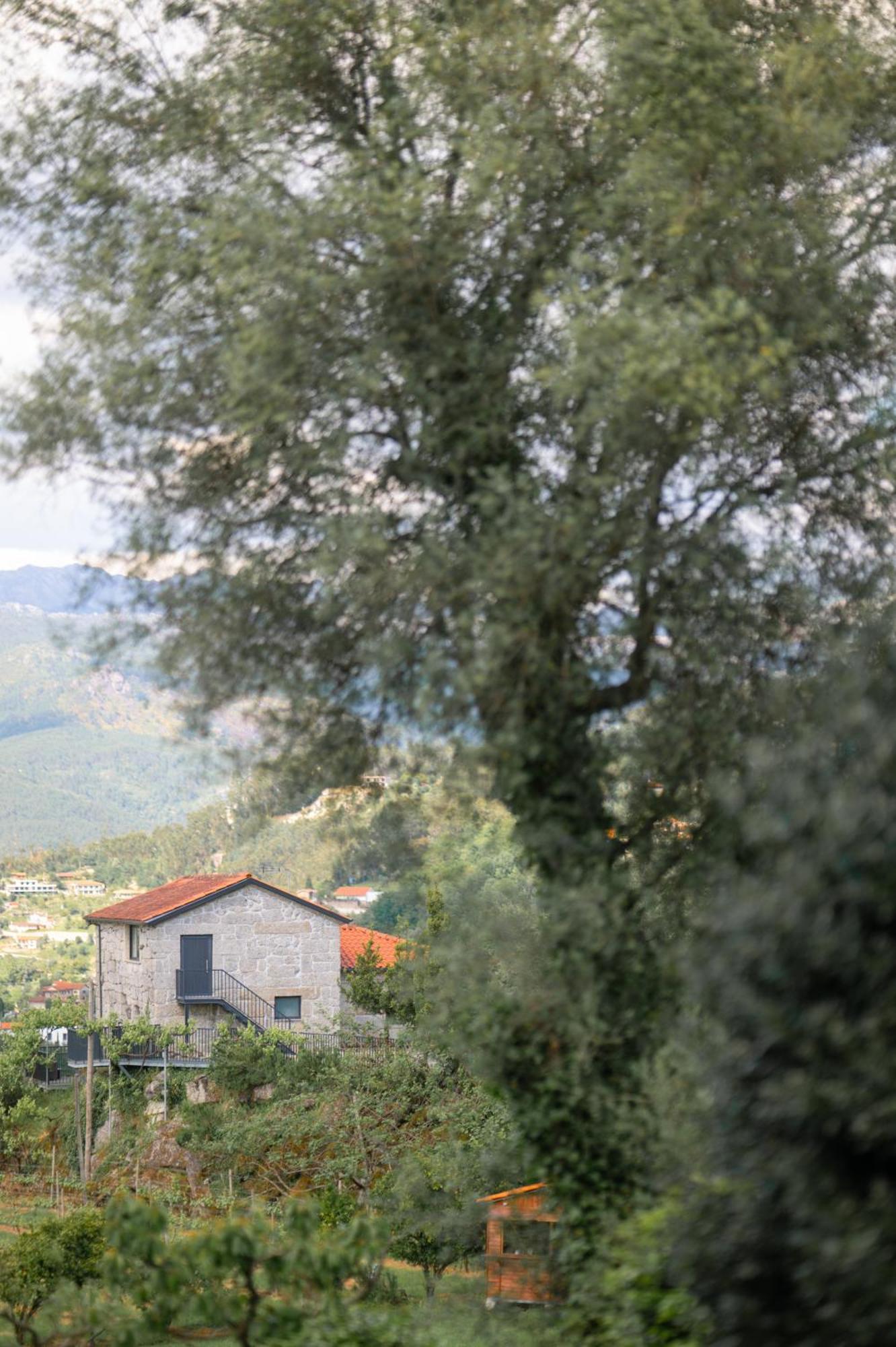 Quinta De Calvelos Vieira do Minho Esterno foto
