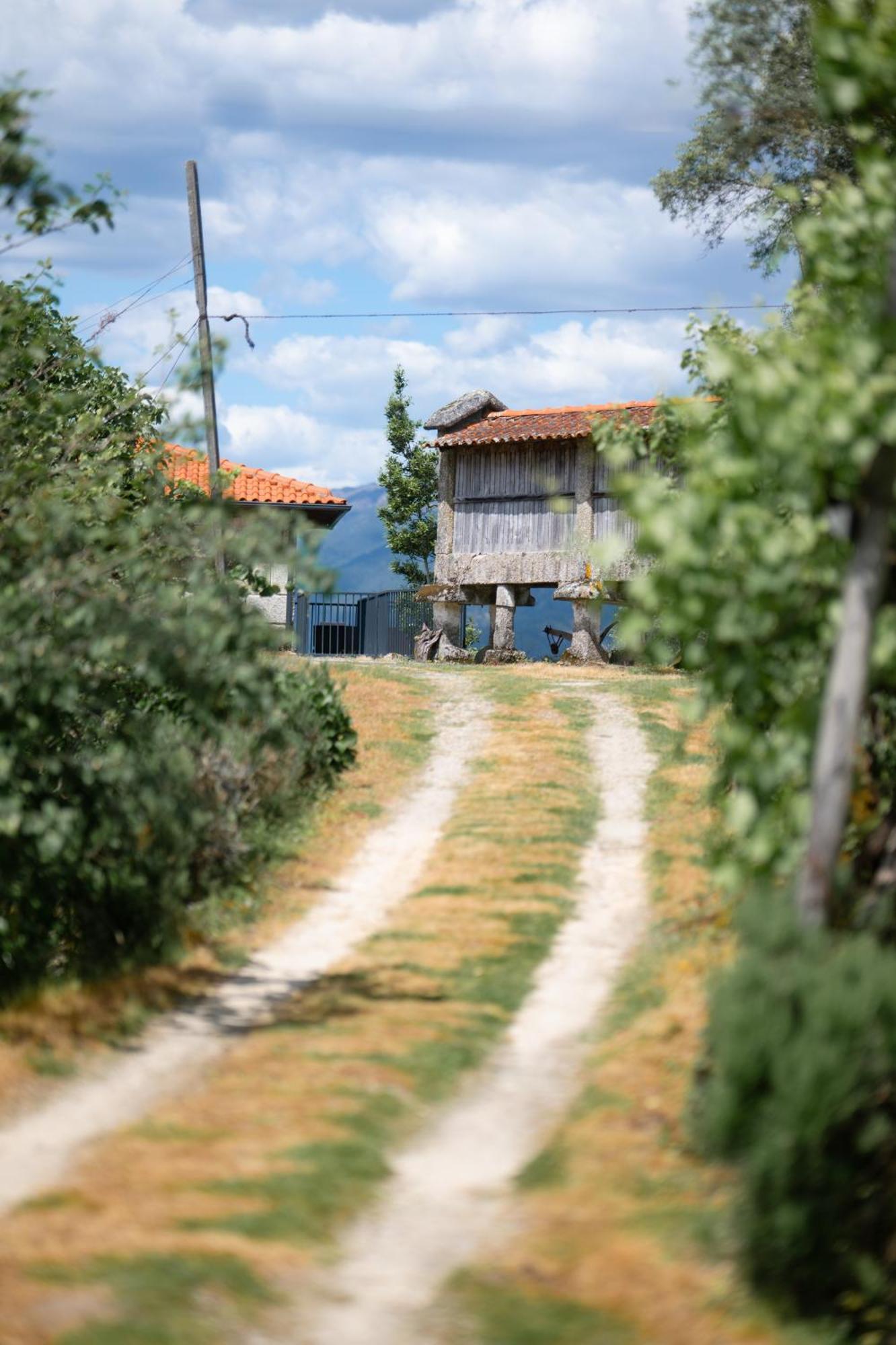 Quinta De Calvelos Vieira do Minho Esterno foto