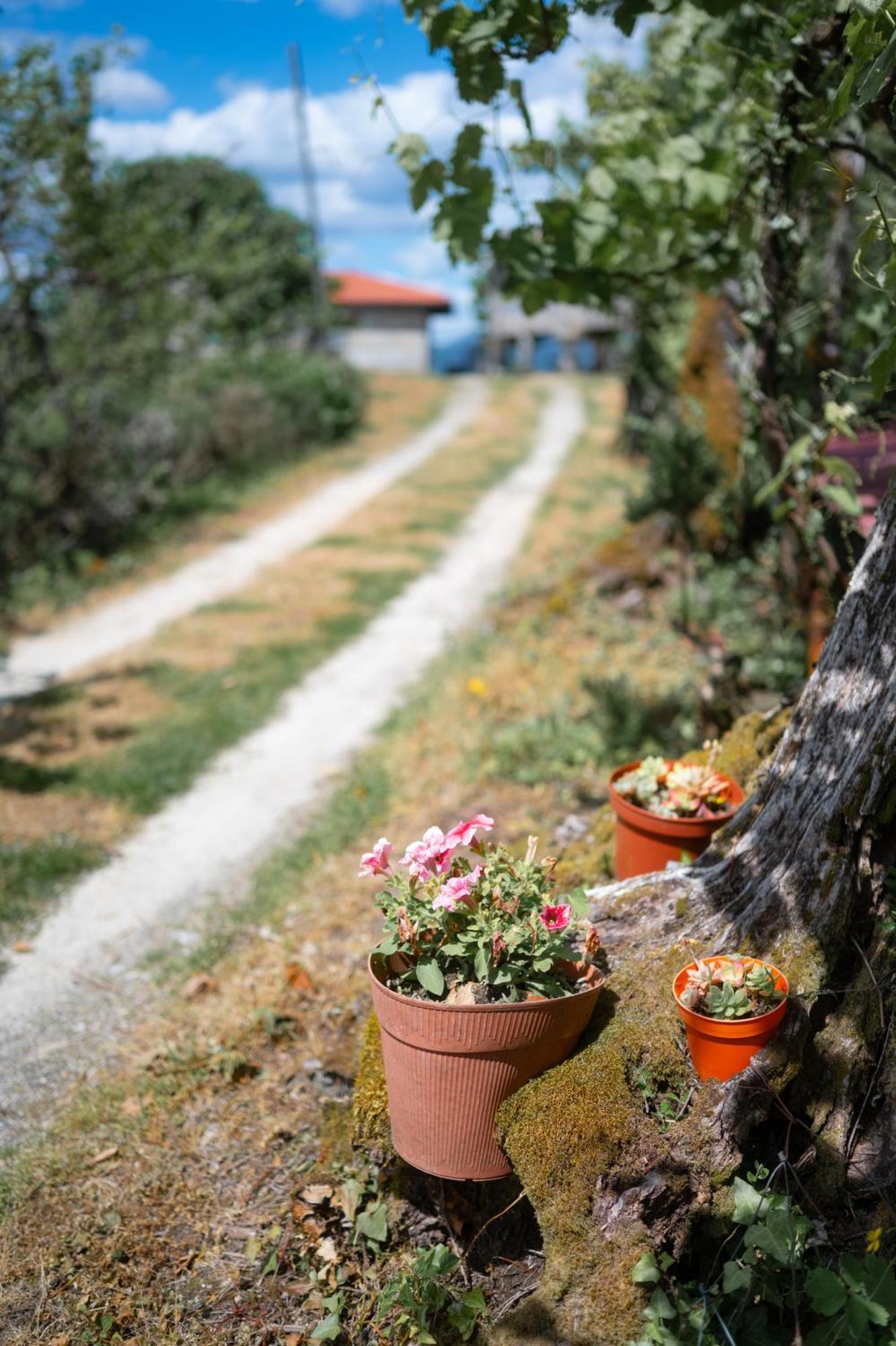 Quinta De Calvelos Vieira do Minho Esterno foto