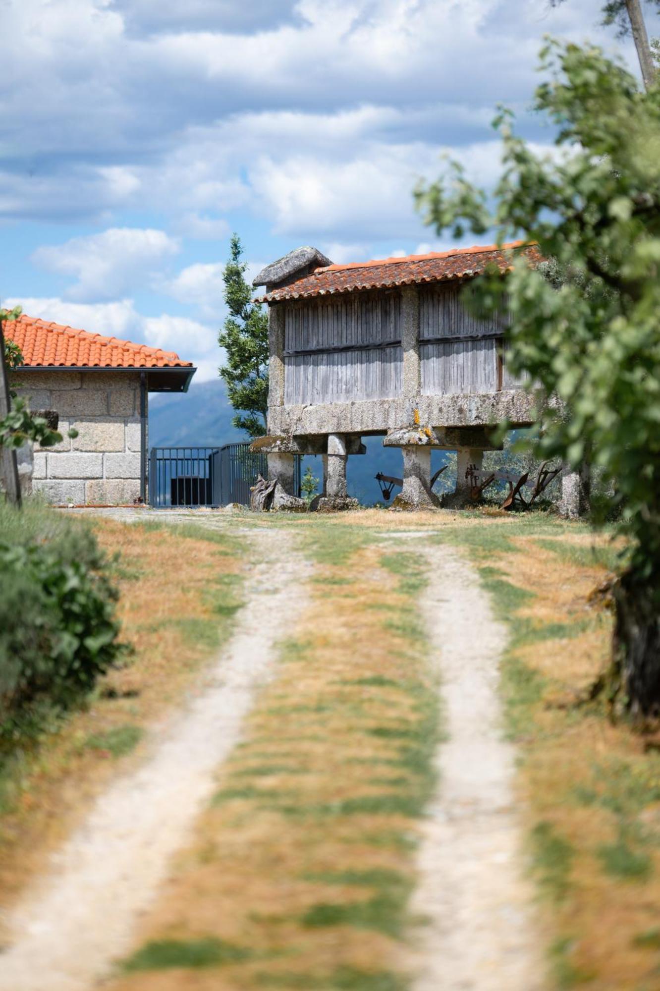 Quinta De Calvelos Vieira do Minho Esterno foto