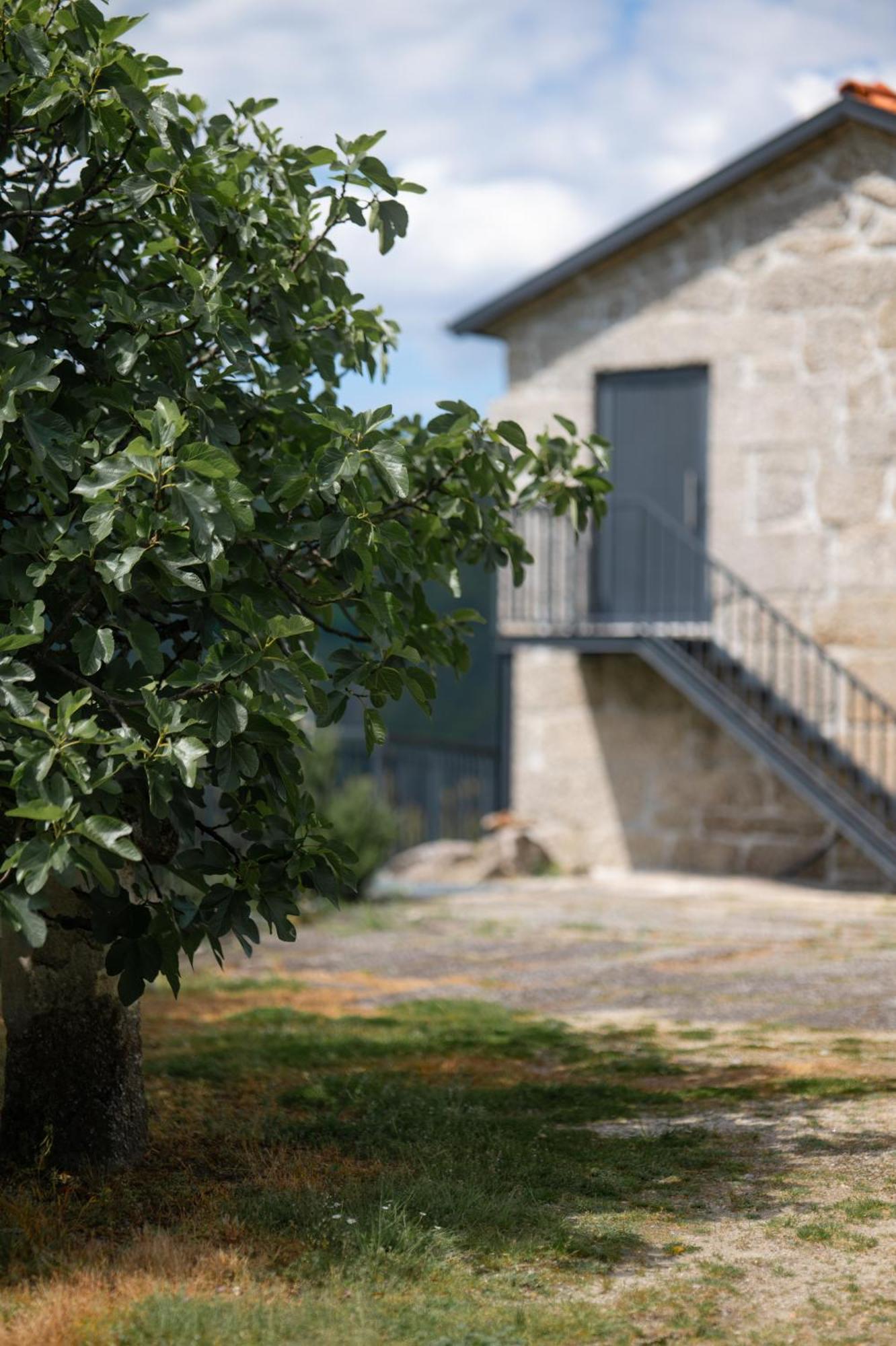 Quinta De Calvelos Vieira do Minho Esterno foto